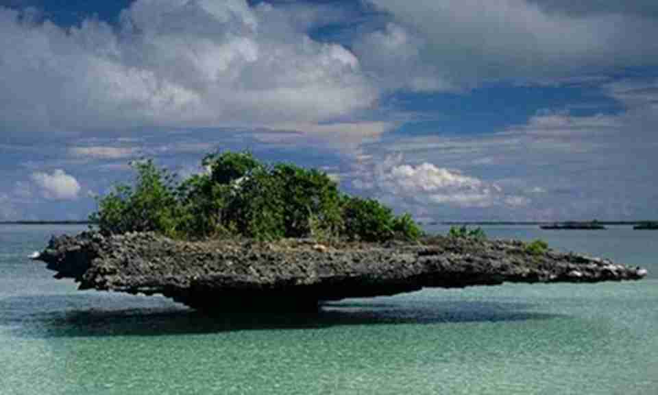 �����ﲼ������