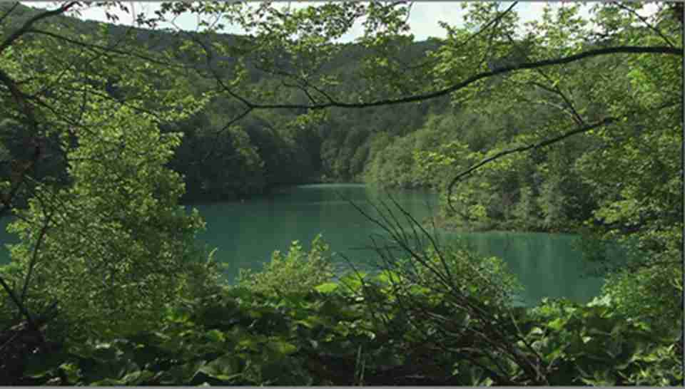 ����������������