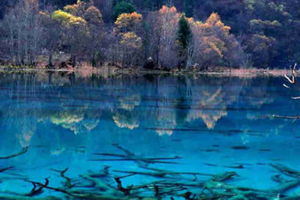 ��ͯ�����硱��կ��