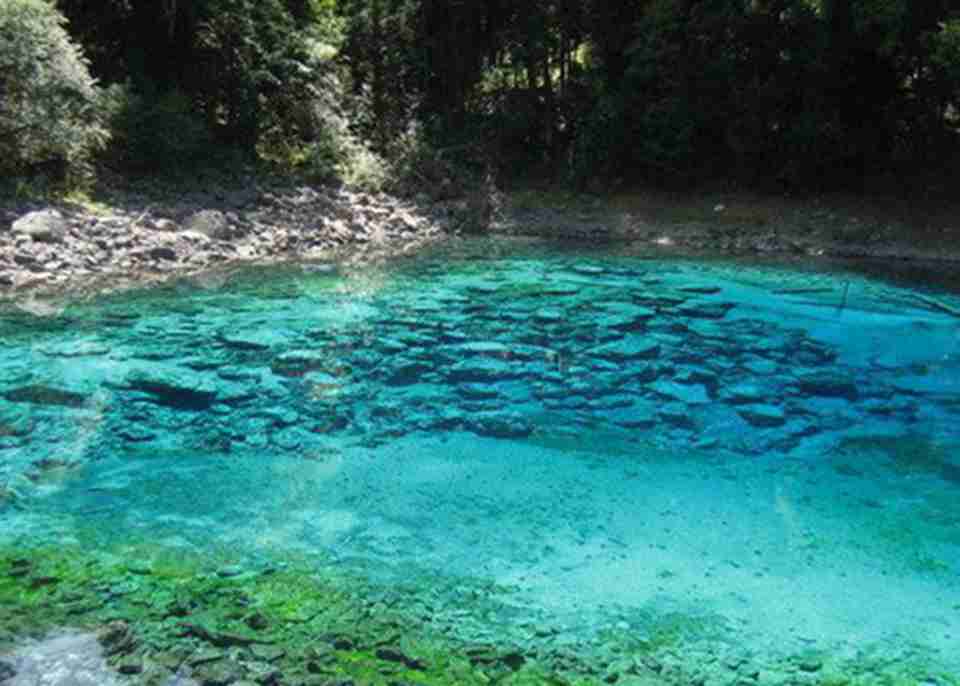 ���������е�����������կ��