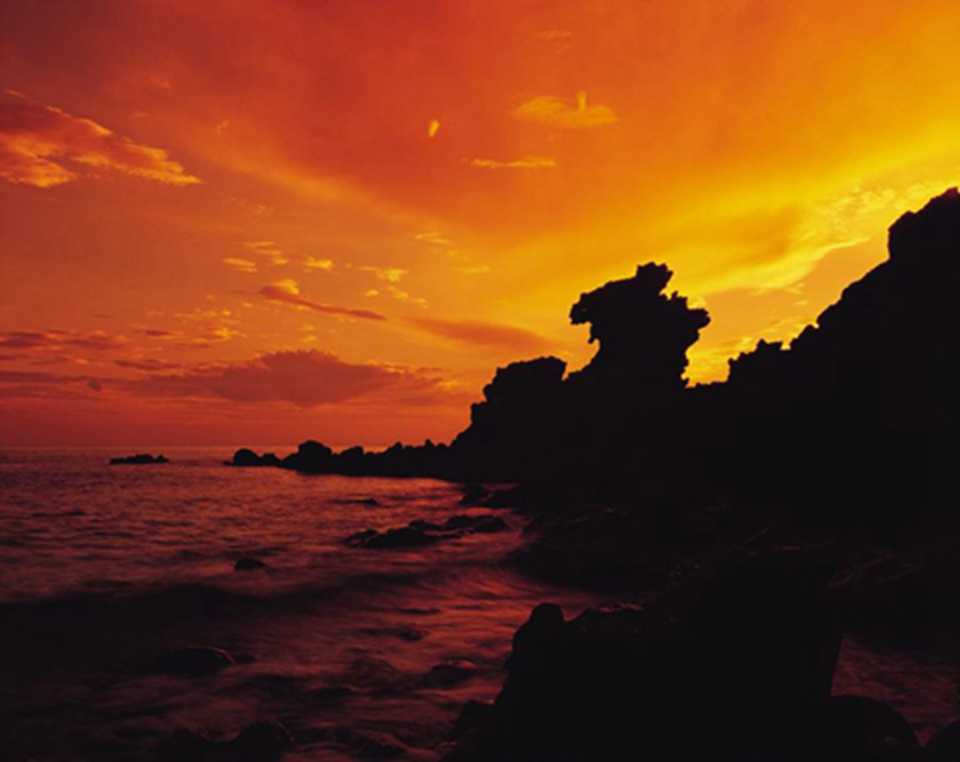 ���Ҷ���