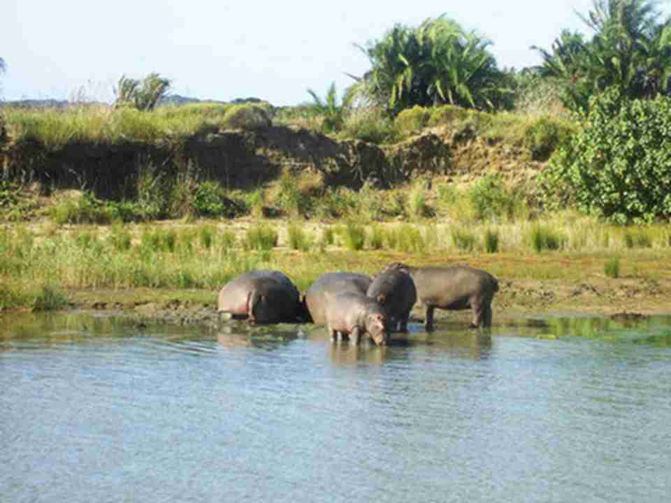 ��ʥ¬����ʪ�ع�԰