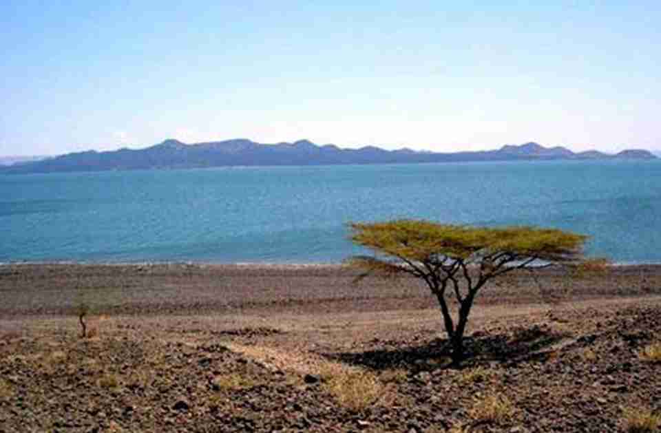 ͼ�����ɺ����ҹ�԰