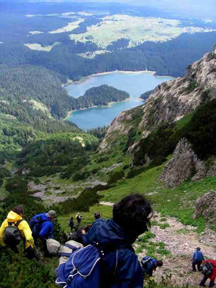 �����ж����ҹ�԰