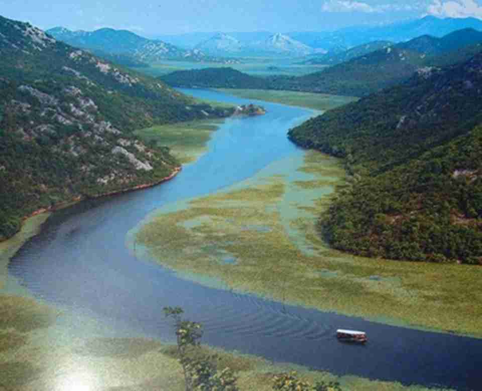 ������Ͽ��