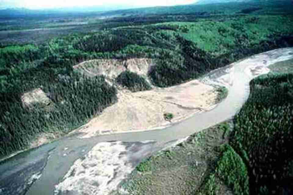 �ɺ�����ҹ�԰