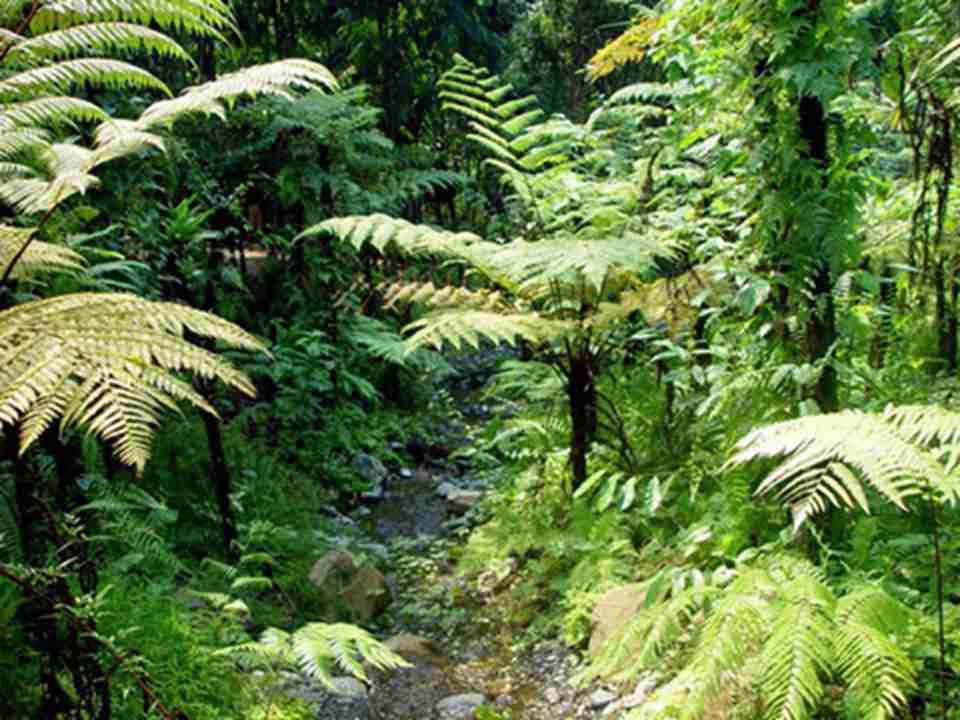 ���հ���������λ��ӡ���󵺹������˹�Ӷ�����