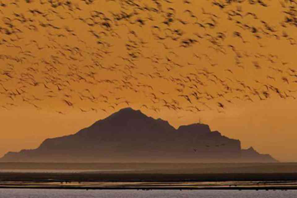 ͼ6-Τ˹������Ⱥ���ĺ���Ҫ��������ĺ�ȸ