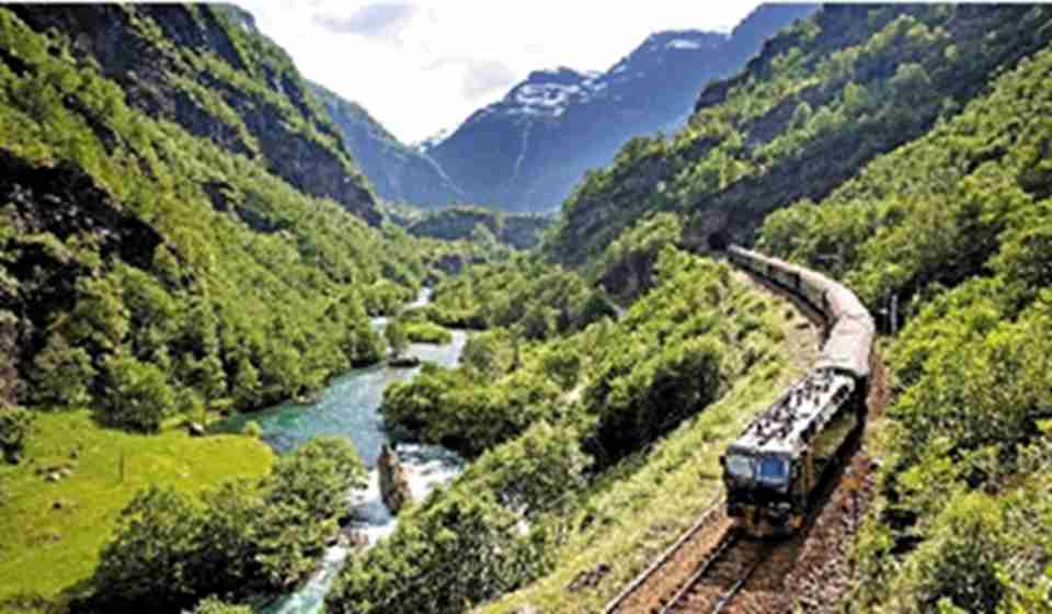 �˻𳵹���Ͽ����Ҳ�ǲ�����ѡ��