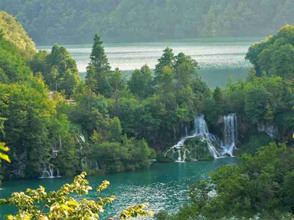 ������ά�ɺ�Ⱥ���ҹ�԰