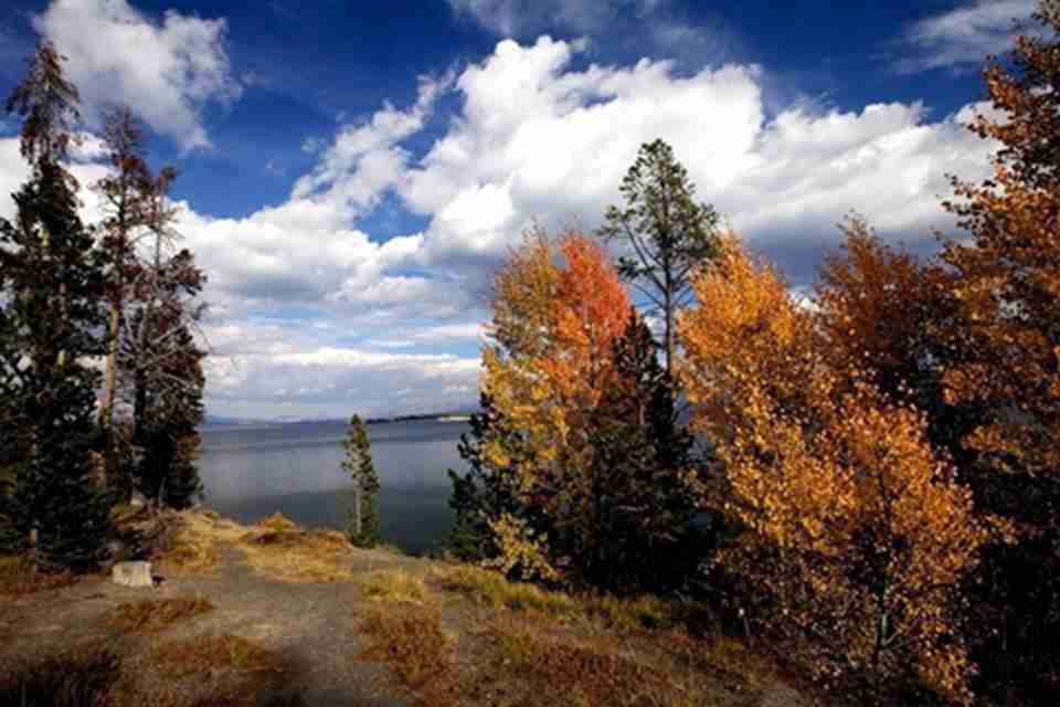 ��ʯ���ҹ�԰����������Ұ������ӻ���