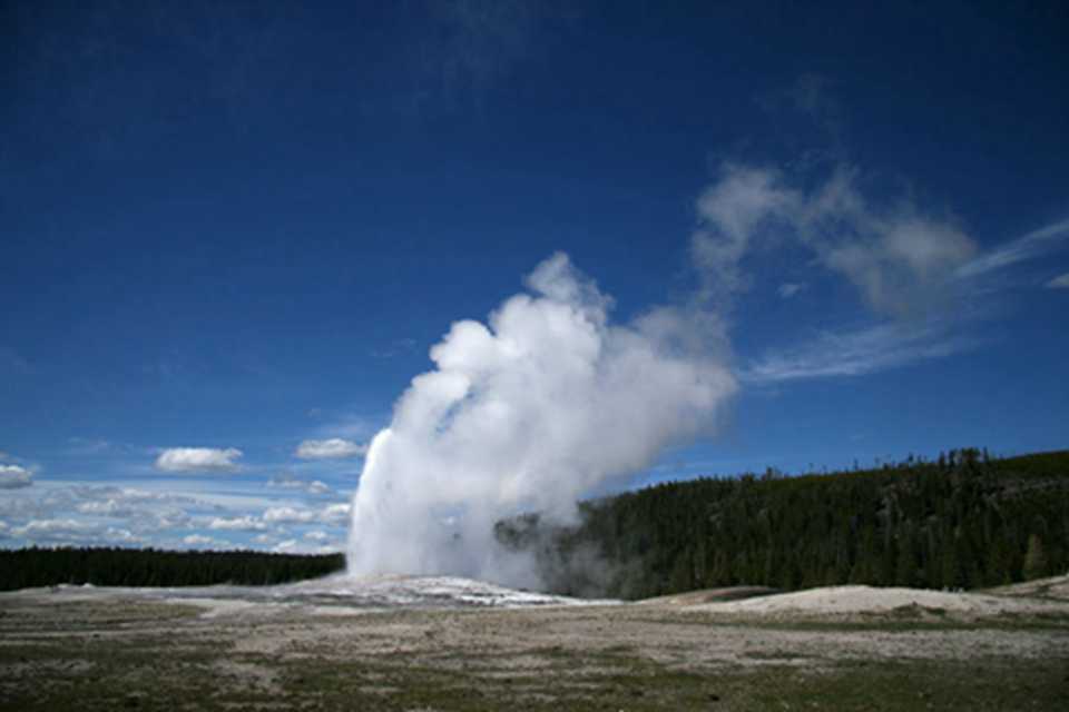 ���´������ִ��������Ȼ������õ���Ȼ��̬ϵͳ