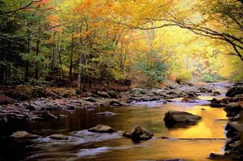 ��԰�����ı��ﶼ�����ο�ȥһ�����������δ�ĵ����硱