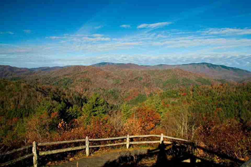 ���ȿƷ�������������ɭ������Ͽ�ȣ����ԼΪ28ƽ������