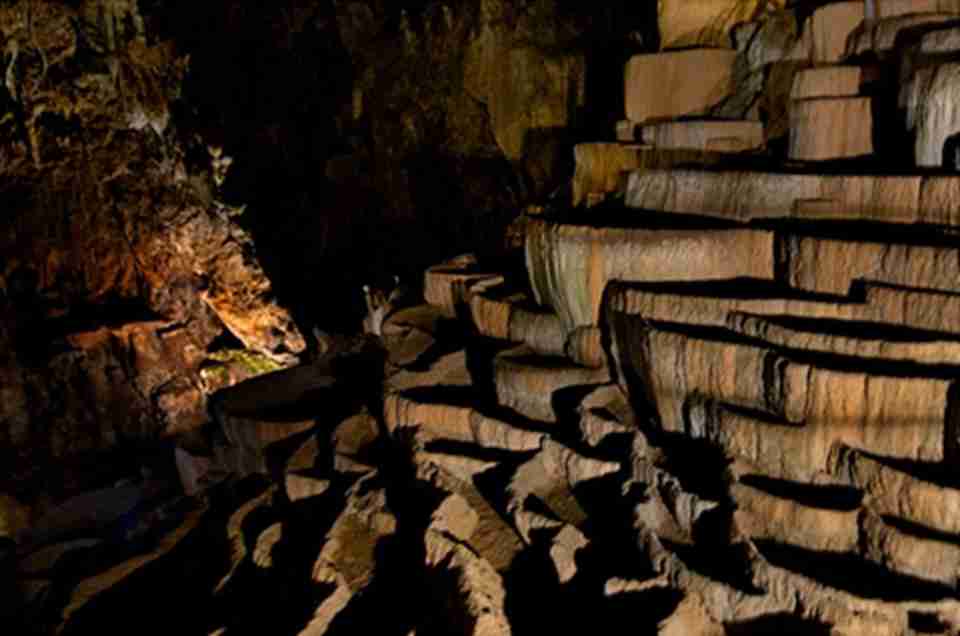 ʲ�ƴ����ܶ�Ⱥ�ڴ�Լ2�����ʱ���У��ظ������ųɳ�������Ĺ��̣��γ����ܶ�Ⱥ