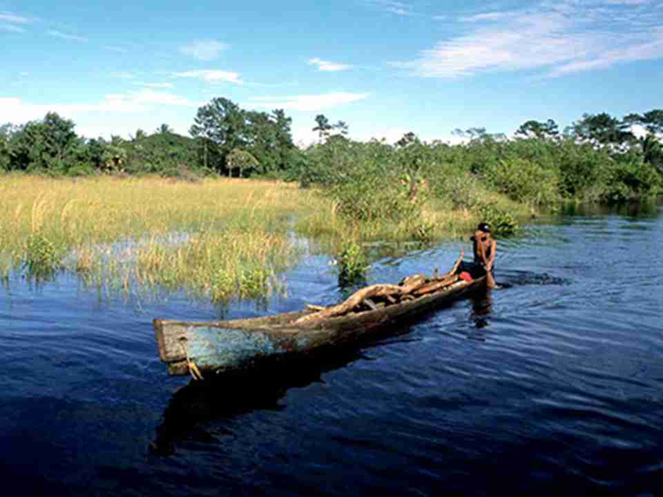 ���Ϲ��̿�����֯��������ŵ�����ﱣ������Ϊ��Ȼ�Ų�