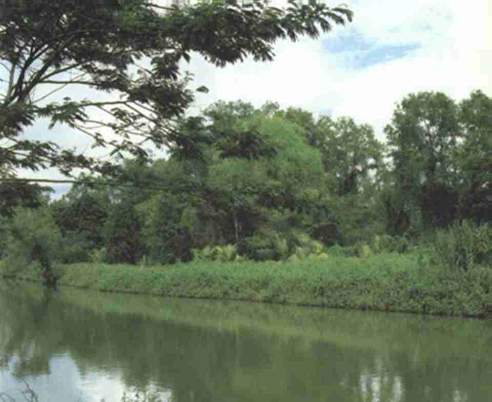 �������ǣ�������Ҫ�������Ļ�������ַ֮һ