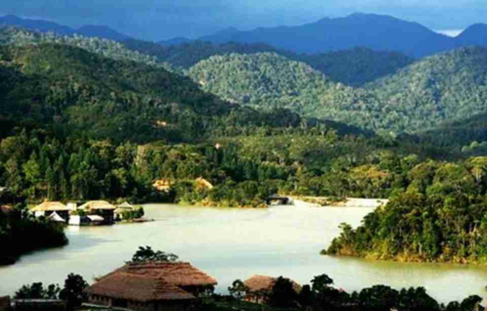 ����ѷ�����ı������������������������֮һ