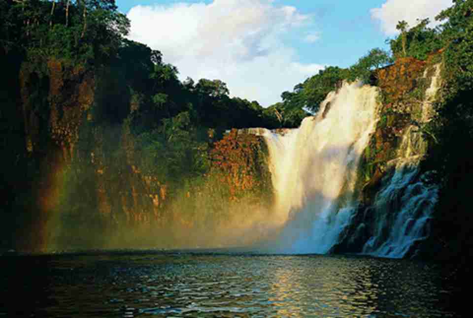 ���ﱣ��һϵ�зǳ�����עĿ�ġ��������̬��ϵ