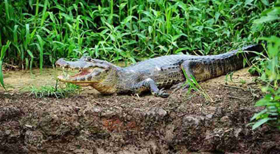 �����������滷���ġ�����֮����-�����ɶ������