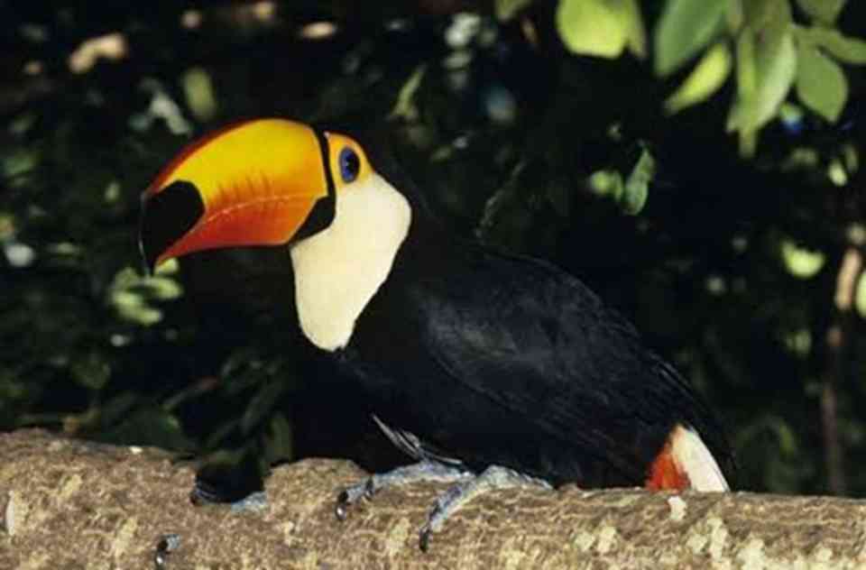 ���ص���Ȼ�羰��������