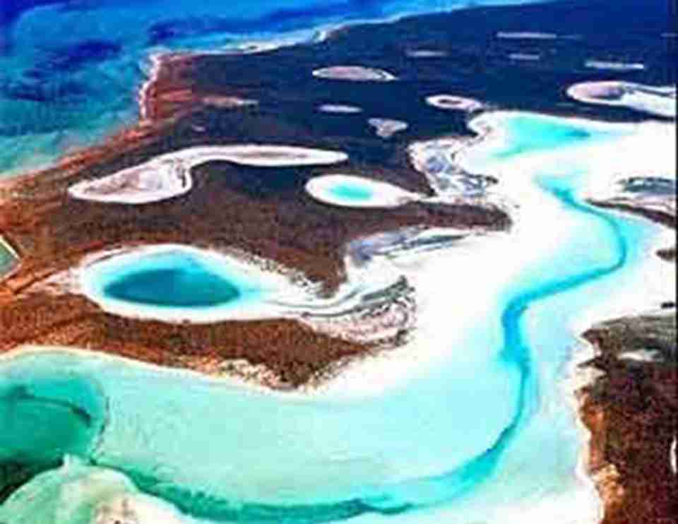 �����屻�ܶ�ǳ̲�ָ�Ϊ�ܶ�뵺�͵���