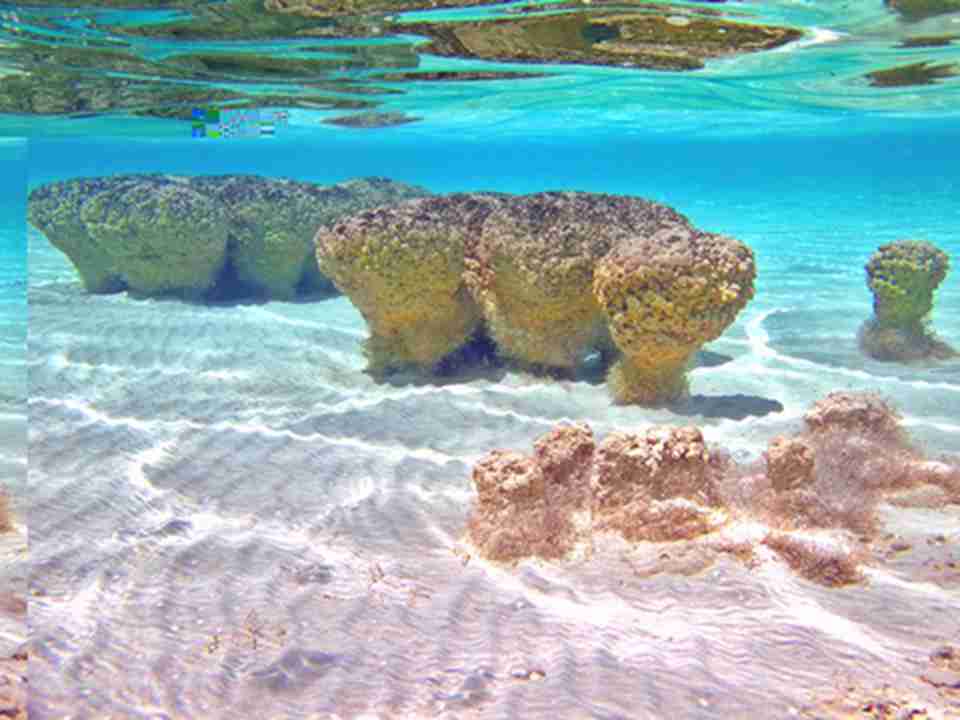 ��������������᲻ͬ�ķ����Ļ������ͺܶຣ������