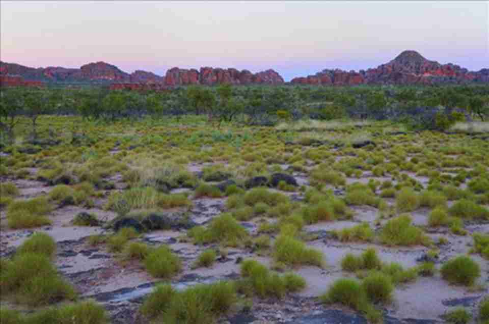 ��ū³³���ҹ�԰�ǰĴ����ǵ�������Ȼ�Ų�֮һ