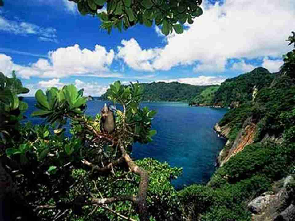 ���ɿ�˹����Ȼ����������Ҫ����Ȼ��Ϣ��