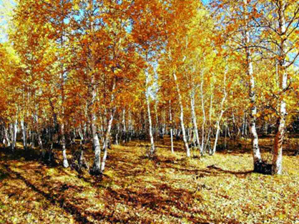 ����ط���½�غͺ�������չʾ����Ҫ����̬����