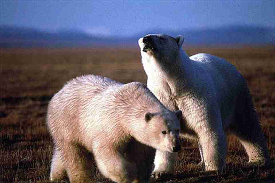 ���������������û���ܵ�����Ӱ�죬���ĵ����ṩ�˶��������