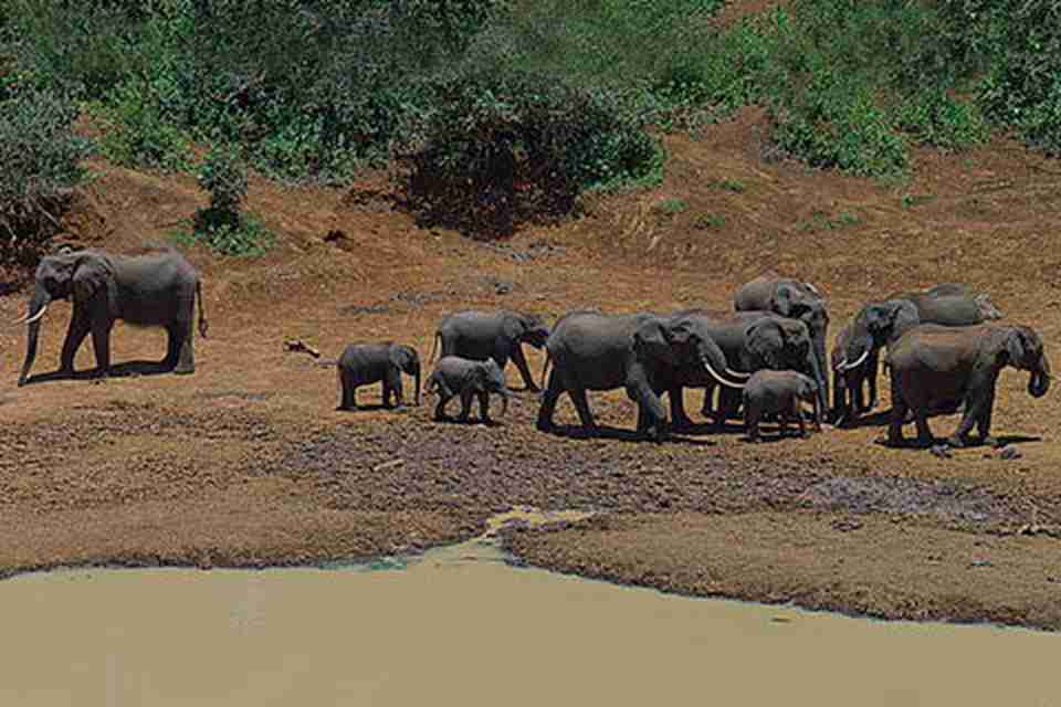 ������ɽ���ҹ�԰λ�ڿ����Ƕ���