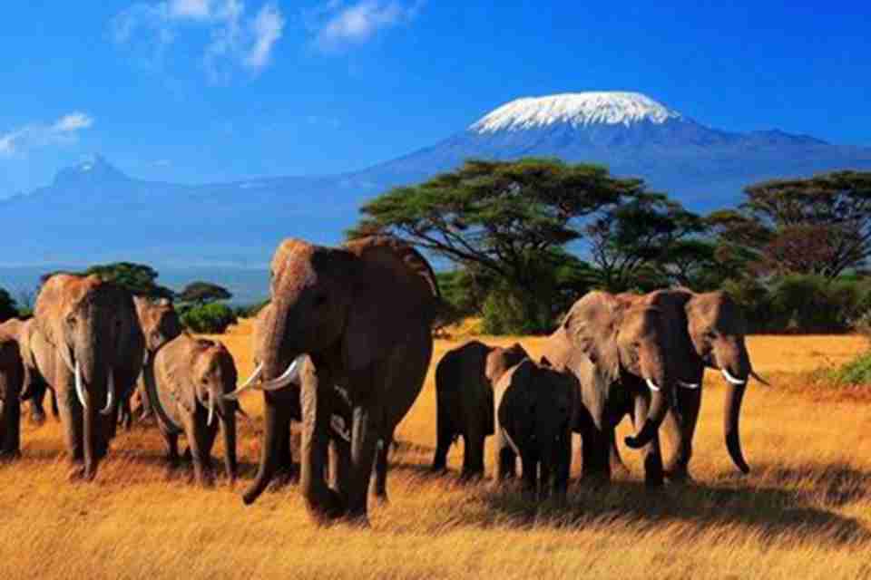 ��԰���������ߣ����ﾭ�����ܳ�԰��