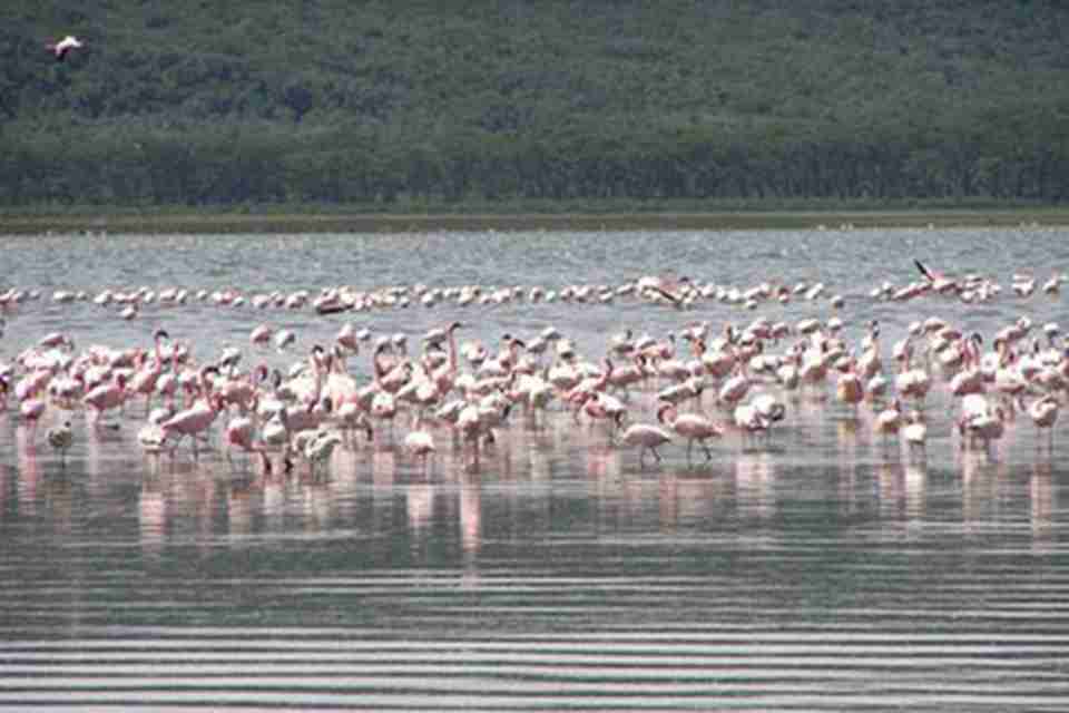 ��Ī�����ҹ�԰λ�ڿ��ص��߶������ķѶ������Ź�ʡ