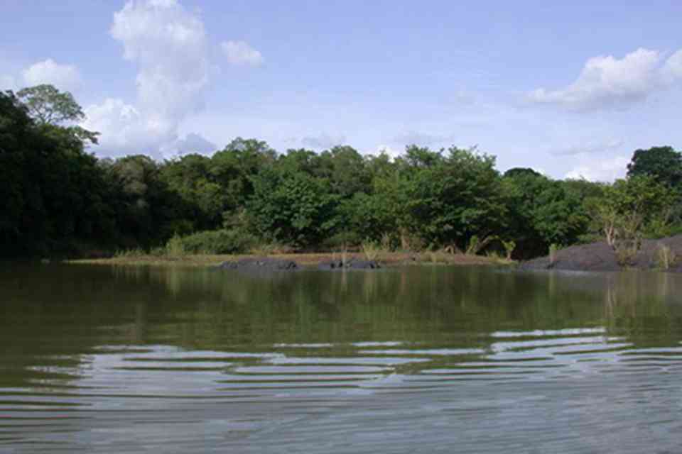 �����ɷ�������ص���������һ���ֽ��