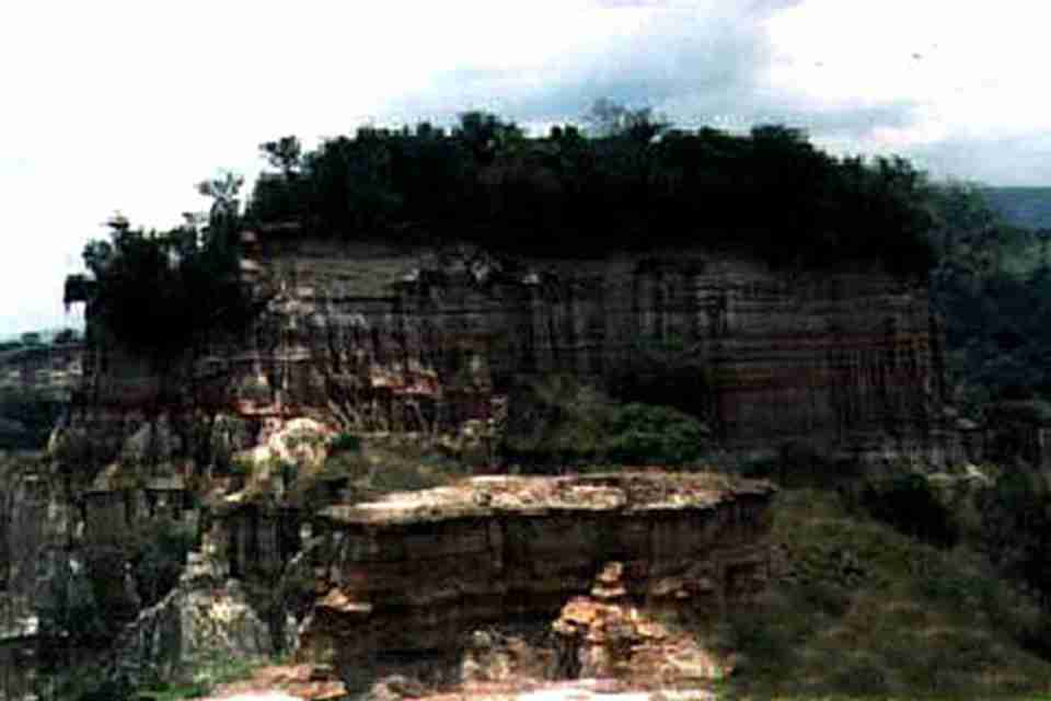 �����ȣ���ӹ��ҹ�԰λ�ڸչ��������͹�����