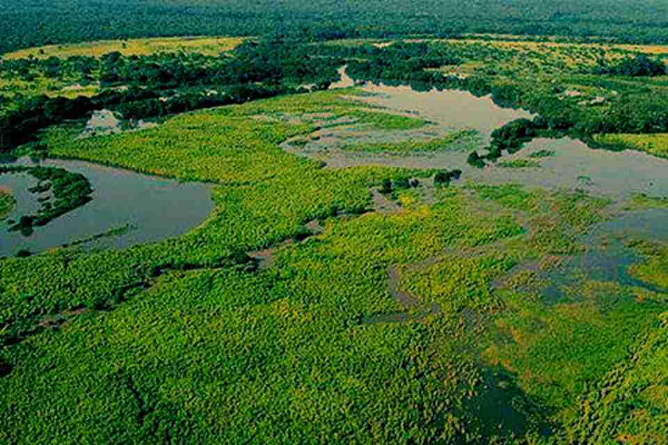 �ӱ��ǳ���ֽ�ݵ������