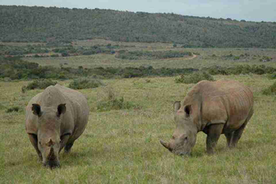 �����ڼ����͹��ҹ�԰���Ķ����ķ����Ϭ