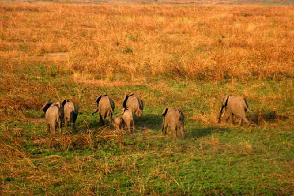 ���ڸõ������ξ��ƵĶ�����͵���Ѻ��ѱ���ֹ