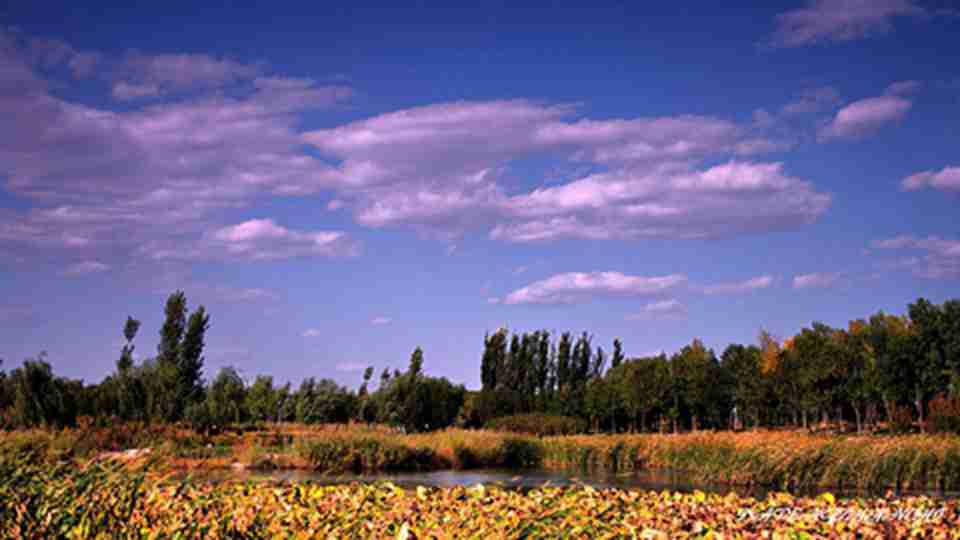 ����ƥ�˹��ҹ�԰�����ڻ�ʢ���ݵ�������