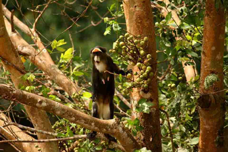 ��Щ���֣������Ի�����֤���ǵ�����ͷ���