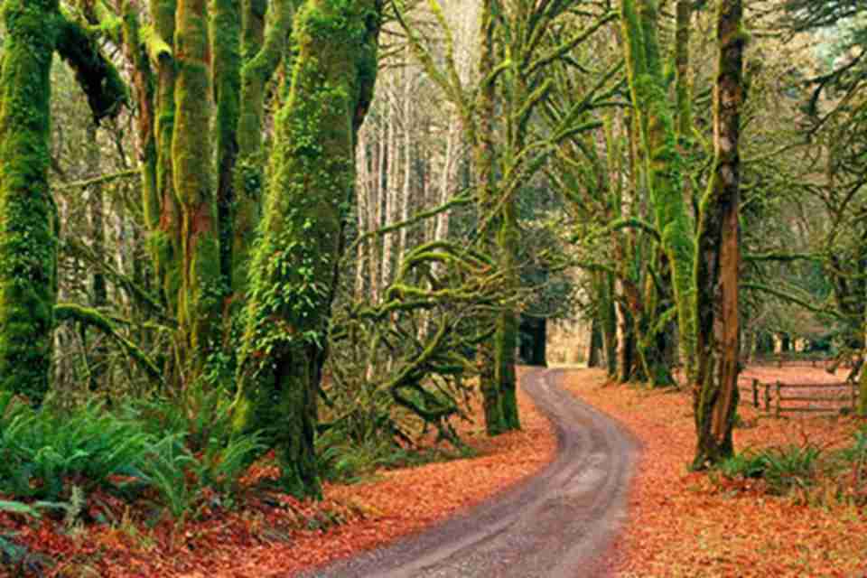 ��Щ������̫ƽ������������������Ϊ��õ��´�����֮һ