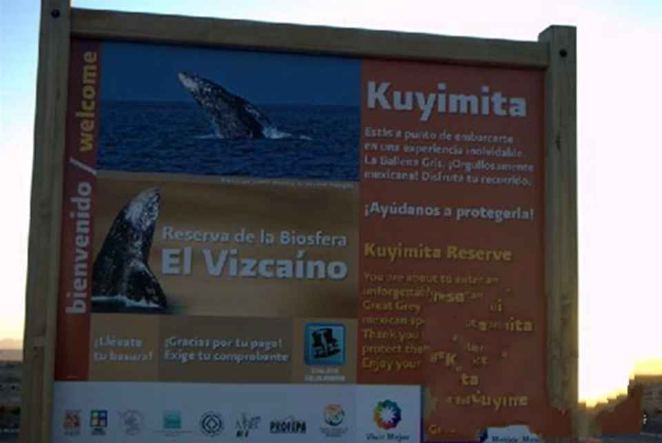 1993����Ϊ��Ȼ�Ų����롶�����Ų���¼��