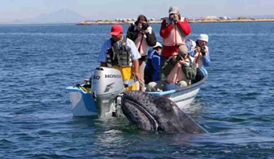 �����ﱣ����ΧȦ��֮ǰ�����ι۹��ŷ�������