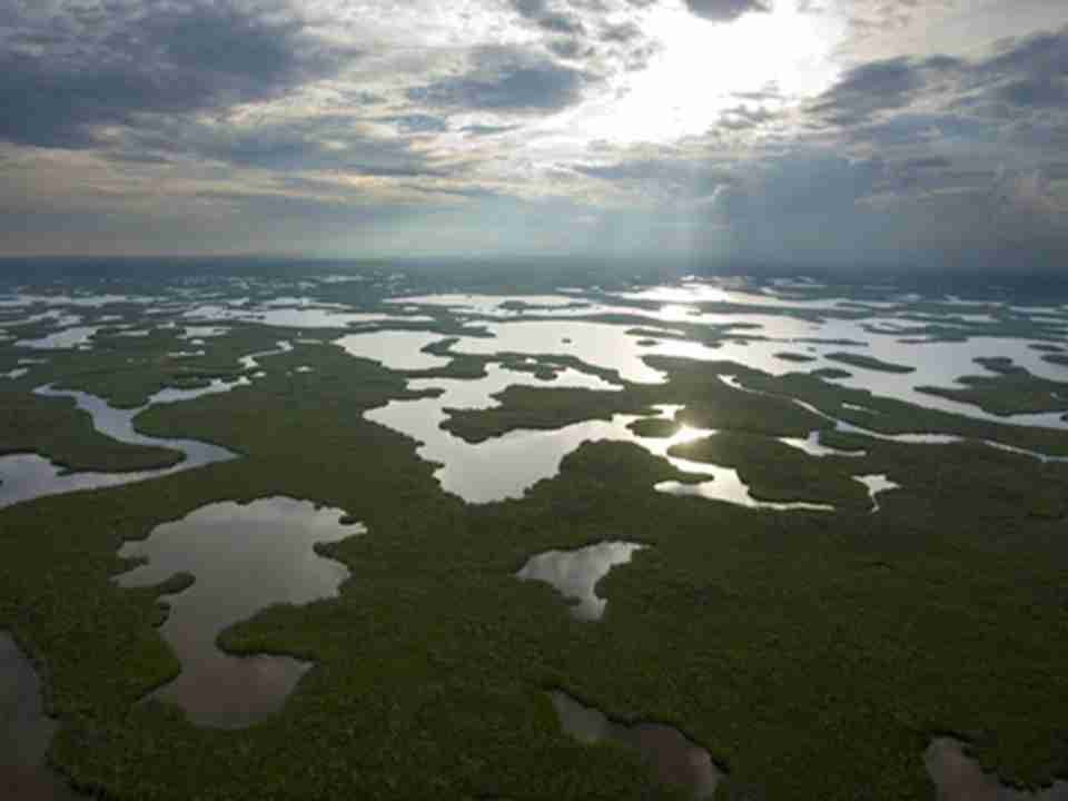 ��������ҹ�԰���ڹ�Ԫ1947�꣬�����Ѿ�����140��ӢĶ