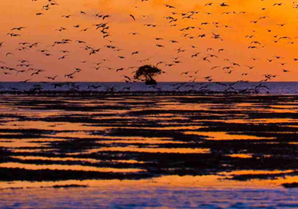 ������غ��д���ˮ�����������һ������ʥ��