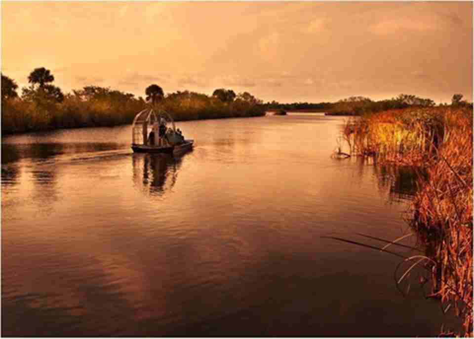 �����������������ȴ�Ұ�����ﱣ����