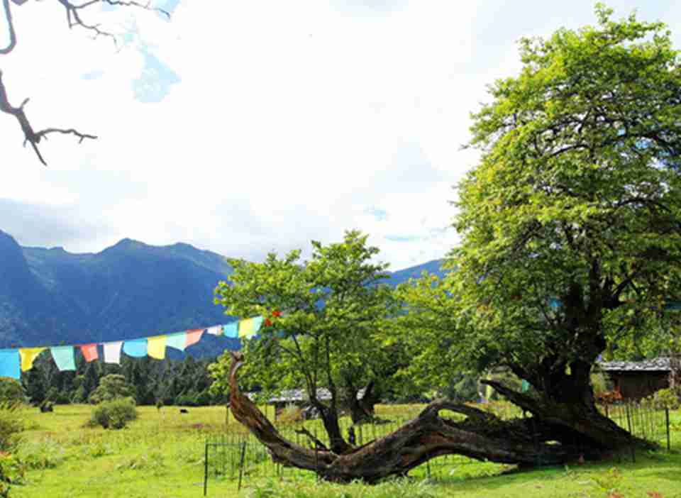 �ڰ׶���˹����̬������ռ��Լ1,771ƽ������