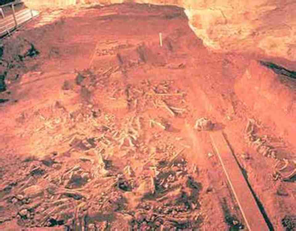 ����˹����ȫ���鶯���¼��ḻ�ĵ���֮һ