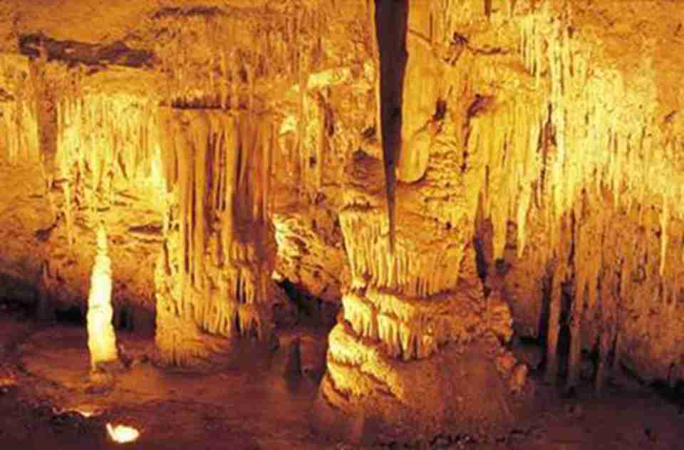 �ô��Ļ�ʯ���Բ�ͬ�Ķ���Ⱥ